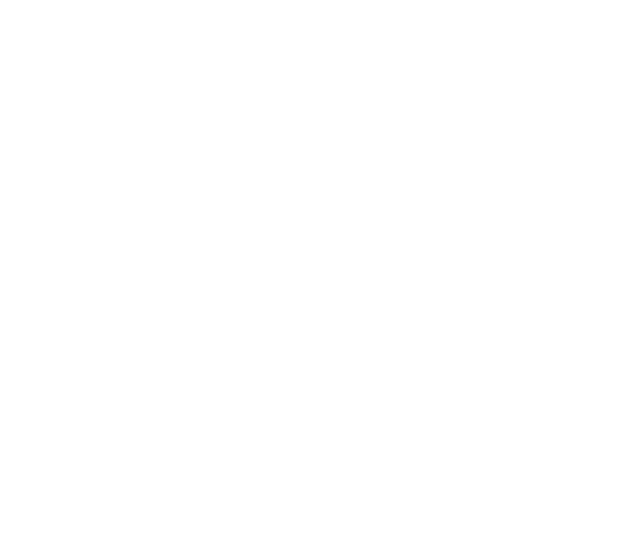 MAC's PORTRAIT GALLERY 